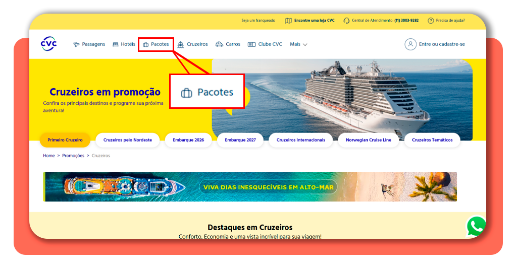 Cruzeiros temáticos 