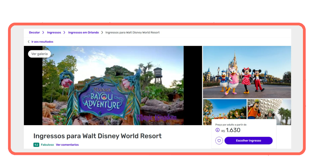 Ingressos para a Disney